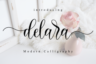 Delara Font Review: A Designer’s Practical Take