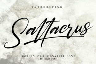 Saltacrus Font: Elevating Digital Brand Identity