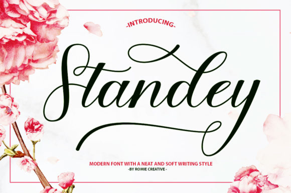 Standey Font Review: A Script Typeface for Campaigns