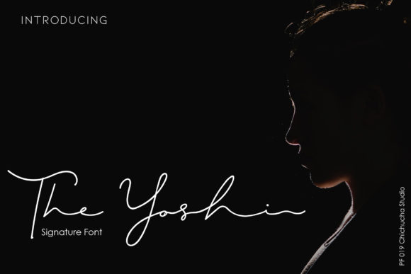 The Yoshi Font Review: Elevating Campaign Visuals